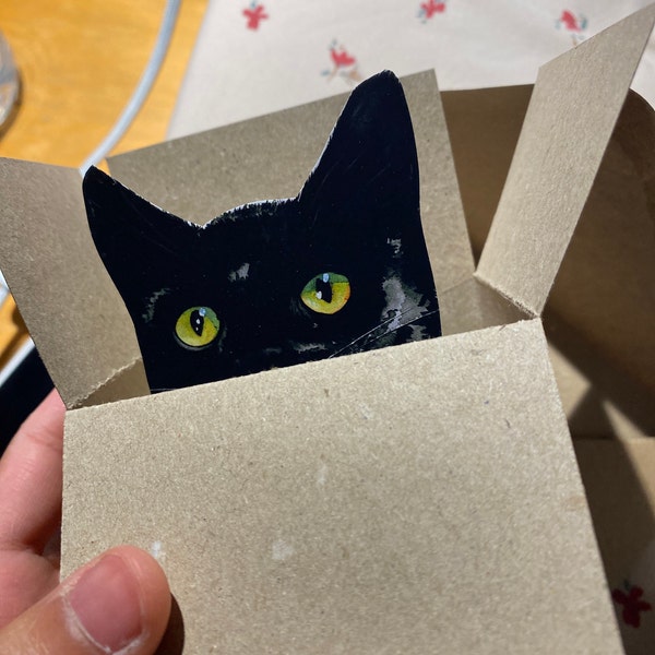 Black Cat Personalised Card. the Original Cat in a Box Card. Birthday ...