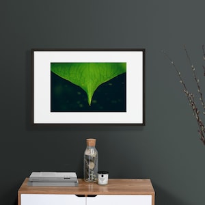 Shannon added a photo of their purchase