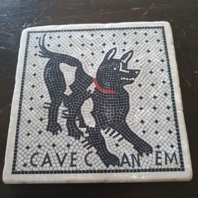 Cave Canem Botticino Marble Tile, 5,9 X 5,9 X 0,4 Inch, Made