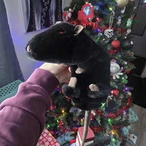 Chris added a photo of their purchase
