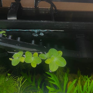 Dean added a photo of their purchase