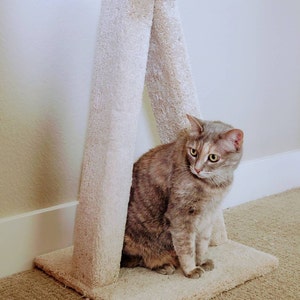 suzanne added a photo of their purchase