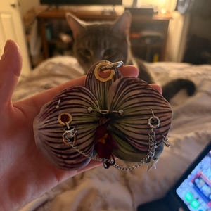Italya added a photo of their purchase