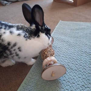 Maria added a photo of their purchase