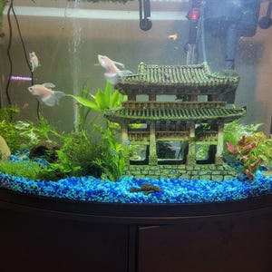 Sara added a photo of their purchase