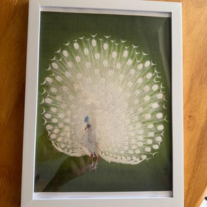 Valeriya heeft een foto van de aankoop toegevoegd