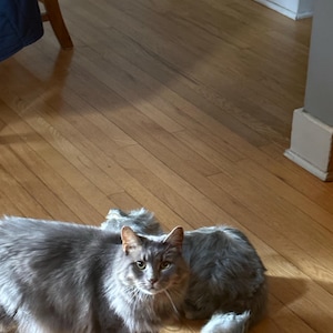 Tina added a photo of their purchase
