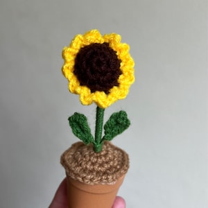 Elizabeth added a photo of their purchase