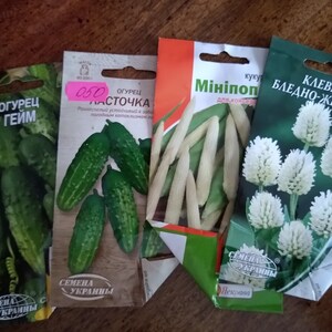 Tomato seed Riddle | Etsy