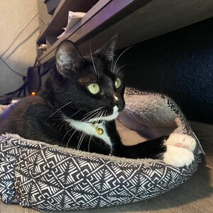 Harley added a photo of their purchase