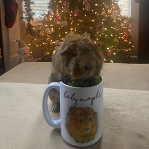 Kate added a photo of their purchase
