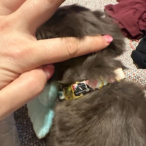 Stevie ha añadido una foto de su compra