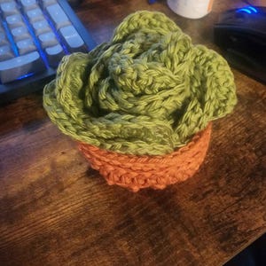 Samantha heeft een foto van de aankoop toegevoegd