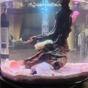 Courtney added a photo of their purchase
