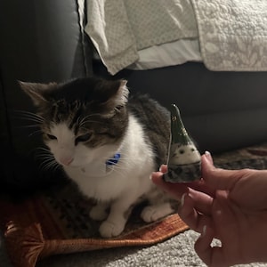 K added a photo of their purchase