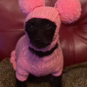 Sarah added a photo of their purchase