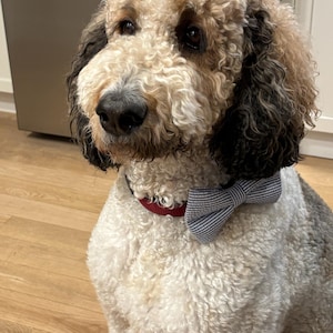 Jessica dodał(a) zdjęcie swoich zakupów