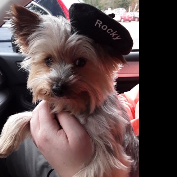 Customer photo of a pet with the Beret Personalized for small pet Raspberry
