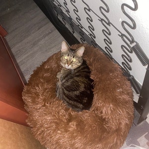 Mackenzie hat ein Foto des gekauften Artikels hinzugefügt