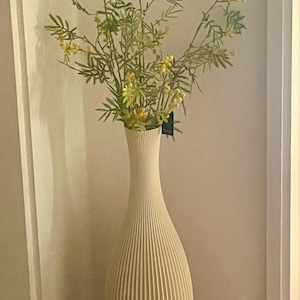 Lisa added a photo of their purchase