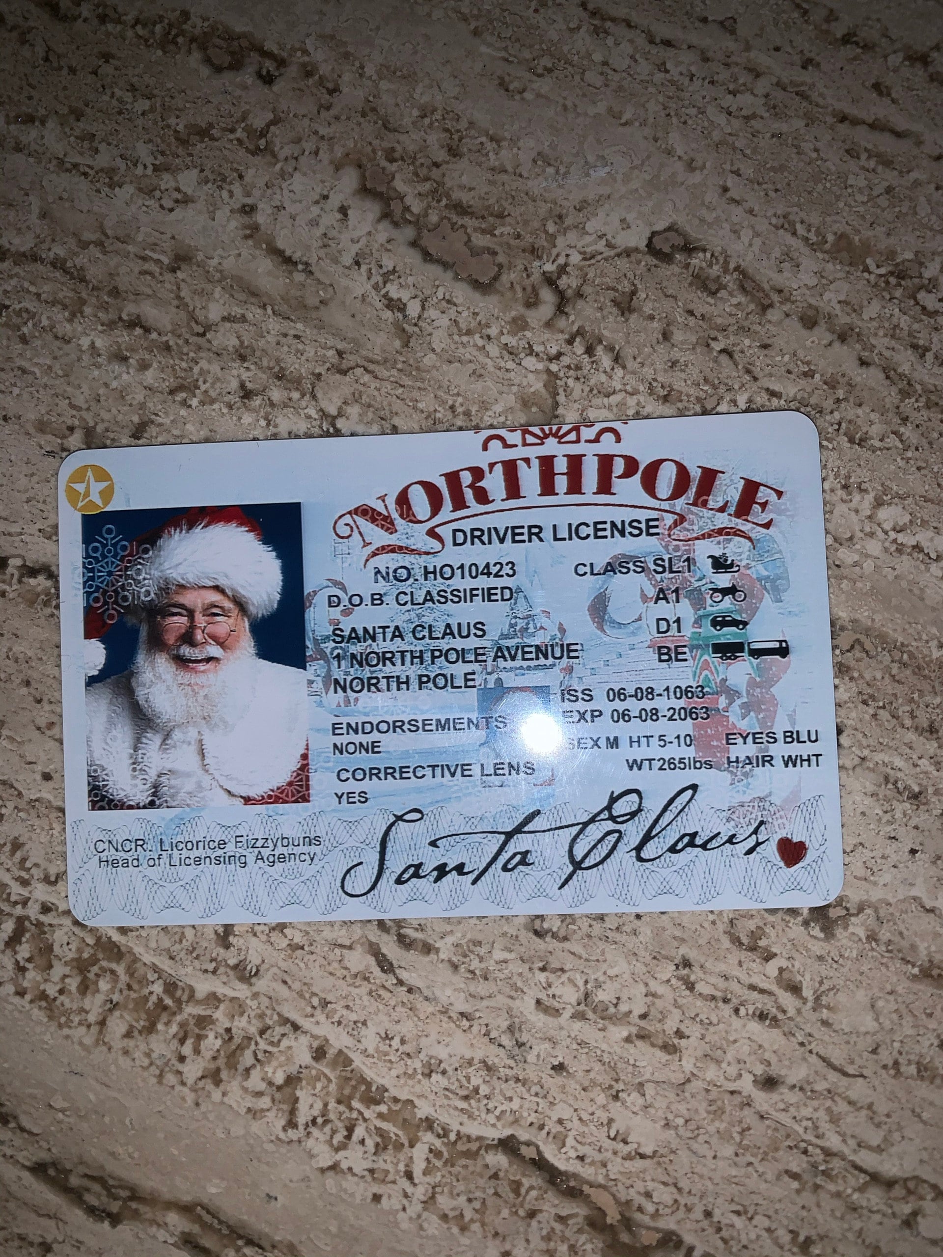 Santa&#39;s Sleigh / Lost Driving License/ Santa License / Santa Driving License / Santa sack / Christmas decorations