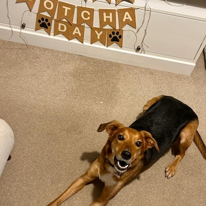 Beth added a photo of their purchase
