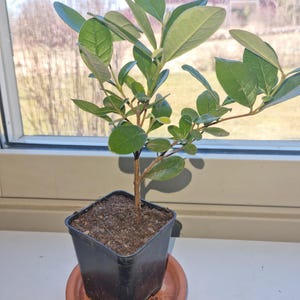 Charles added a photo of their purchase