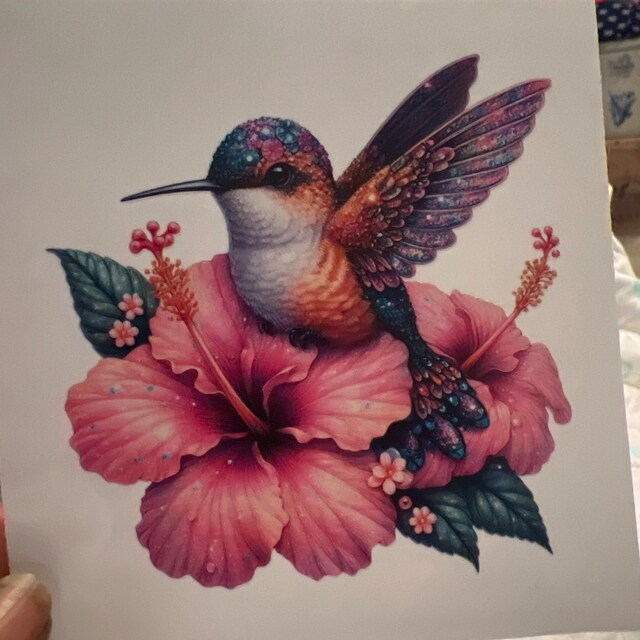 Colorful Hummingbird Vinyl Decal, Beautiful Hummingbird Tumbler