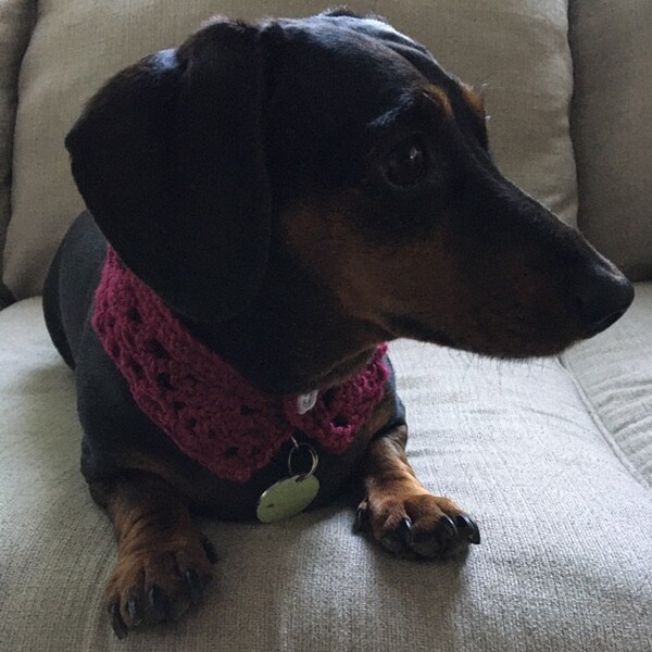 Corn Cob Pattern Dog Bandana - Adjustable Pet Scarf For Cats & Small Medium Dogs