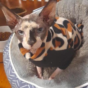 Debbie added a photo of their purchase