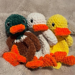 Hayley added a photo of their purchase