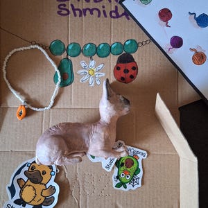 ANNE added a photo of their purchase