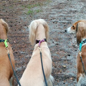 Sabine added a photo of their purchase