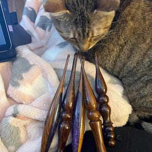 Anna added a photo of their purchase