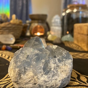 Brynn added a photo of their purchase