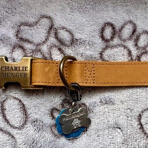 Jill added a photo of their purchase