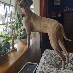 Jill added a photo of their purchase