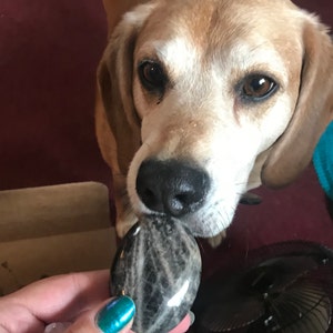 Mary added a photo of their purchase