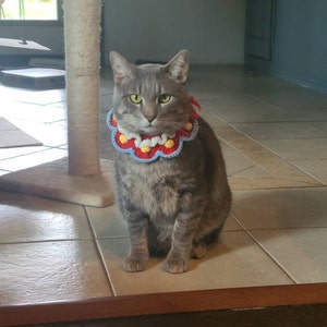 Shannon added a photo of their purchase