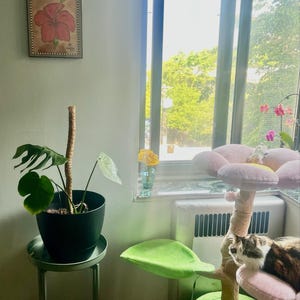 Zulma added a photo of their purchase