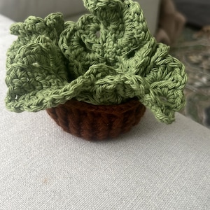 Mea added a photo of their purchase