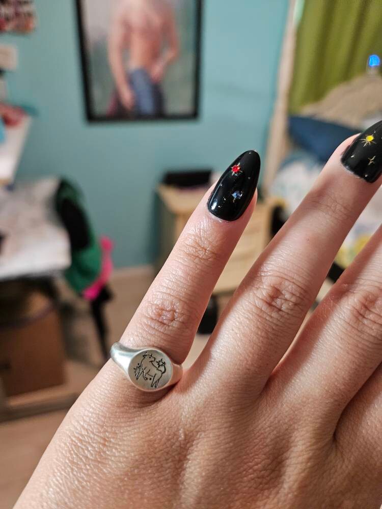 Custom Zodiac Signet Ring by Caitlyn Minimalist • Personalized Chunky Statement Ring • Celestial Jewelry • Best Friend Gift • RM77