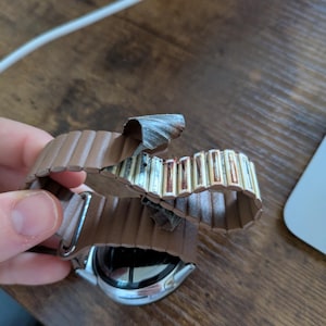 diver added a photo of their purchase