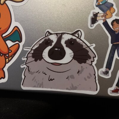 Raccoon Close up Funny Sticker Raccoon Sticker Gifts Under 10 Water ...