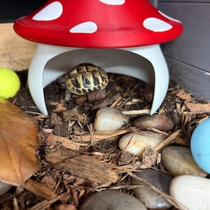 Jennifer added a photo of their purchase