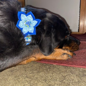 Cindy added a photo of their purchase
