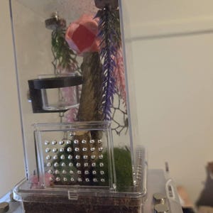 Ashlee added a photo of their purchase