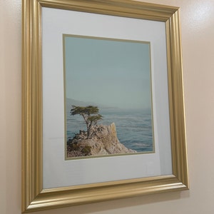 Sharon added a photo of their purchase