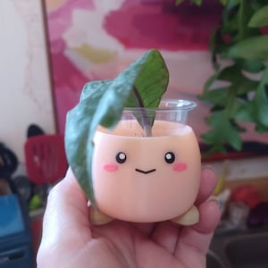 Deanna added a photo of their purchase