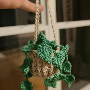 Denise added a photo of their purchase